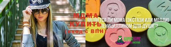 прущие грибы Аркадак