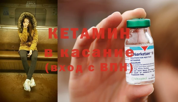 прущие грибы Аркадак