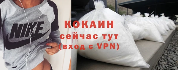 прущие грибы Аркадак