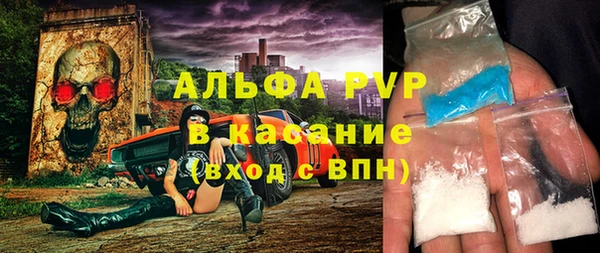 прущие грибы Аркадак