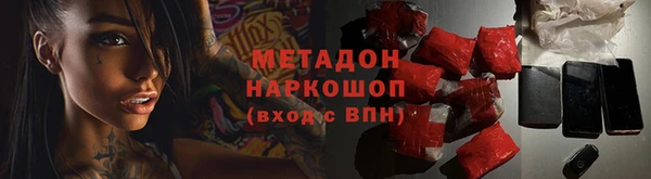 прущие грибы Аркадак