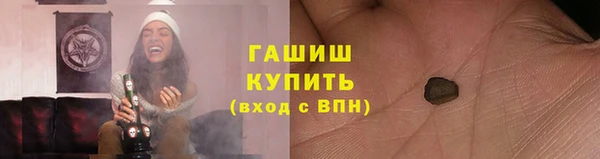 прущие грибы Аркадак