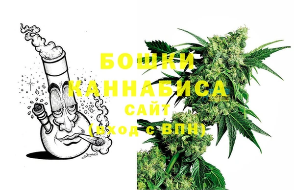 соль ск Арсеньев