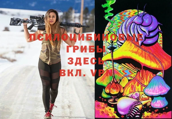 соль ск Арсеньев