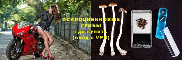 соль ск Арсеньев
